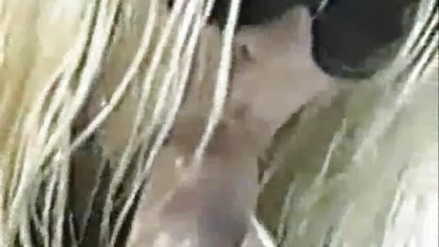 Jestem chuda jesteś jak darmowe porno wielkie dupy cipka