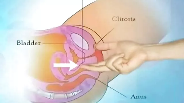 Przyklej się do ust darmowe filmy porno sex tube