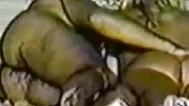 Prywatne sex pl darmowe filmiki Porno